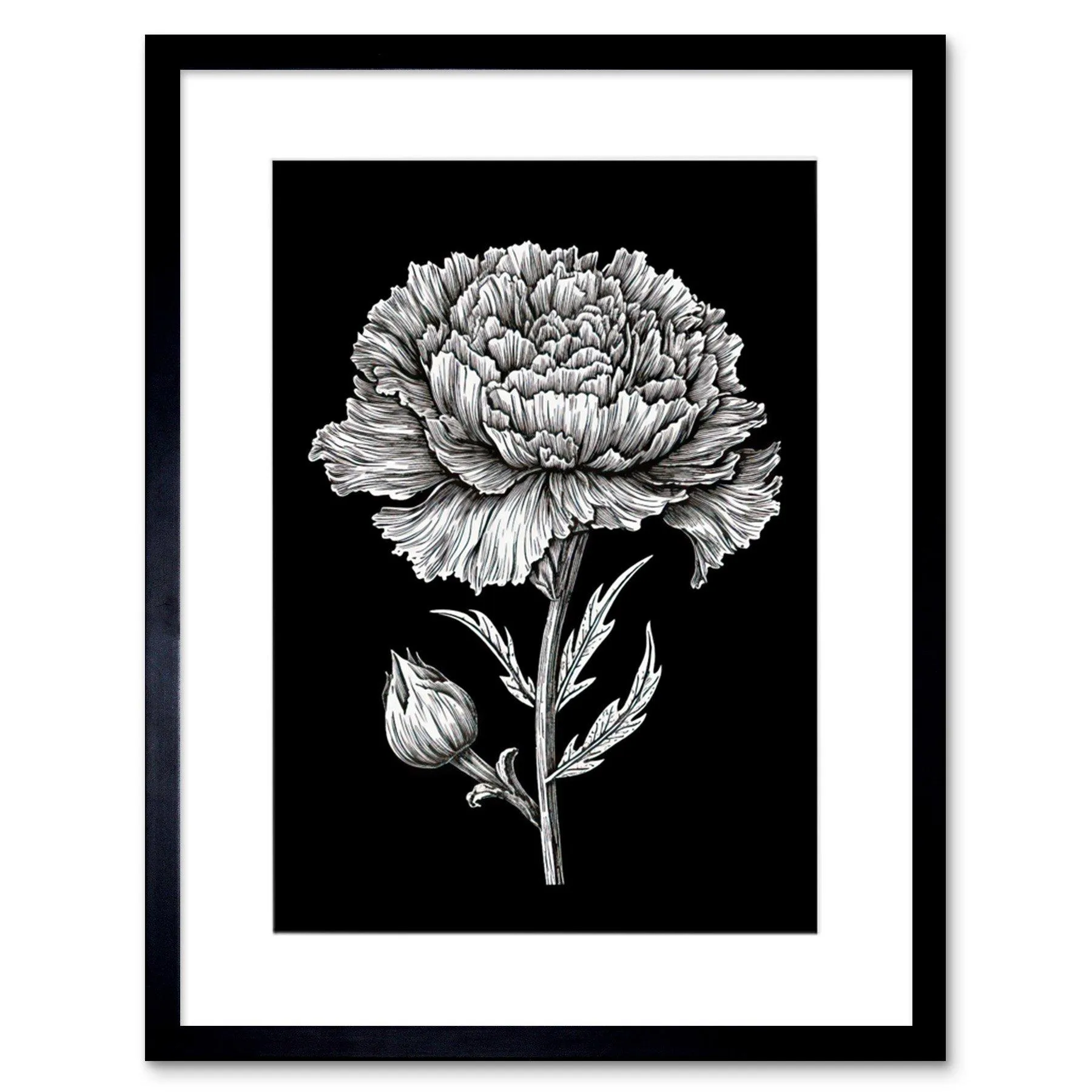 Wall Art & Pictures | Wall Art Print Carnation Flower Black and White Linocut Artwork Framed 9X7 Inch | Artery8