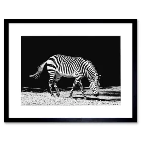 Wall Art & Pictures | Wall Art Print Lone Zebra BW Framed | Artery8