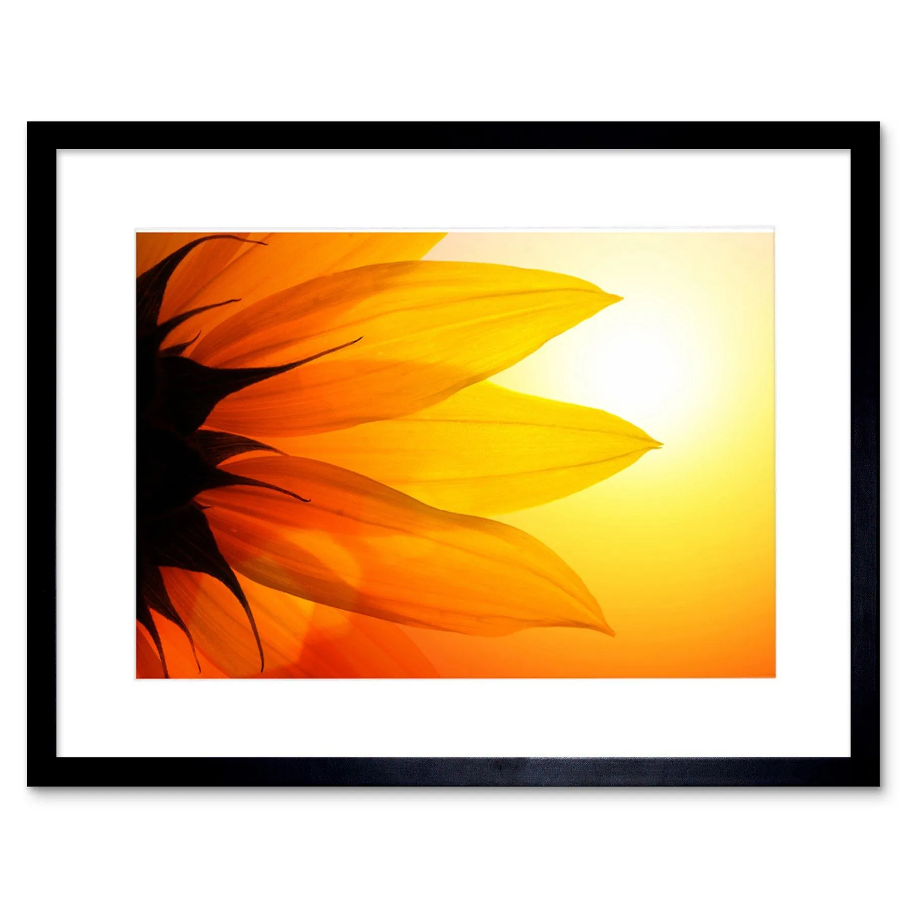 Wall Art & Pictures | Wall Art Print Sunflower Petals Close Up Framed | Artery8